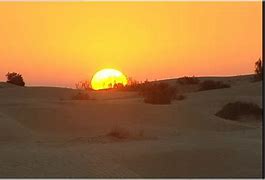 Desert Oasis